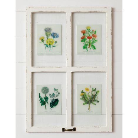 Window - Botanicals