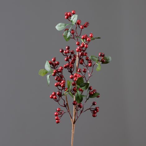 Branch - Cranberries 