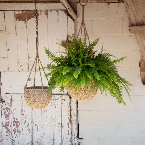 Hanging Seagrass Baskets