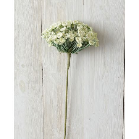 Branch - Allium, White 