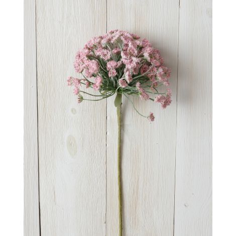Branch - Allium, Pink