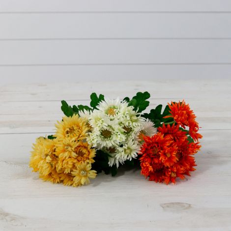 Pick - Chrysanthemums, Warm Colors