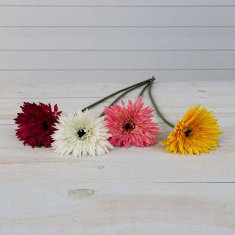 Stem - Chrysanthemums, Asstd Colors