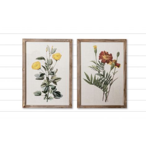 Framed Prints - Marigold And Ranunculus