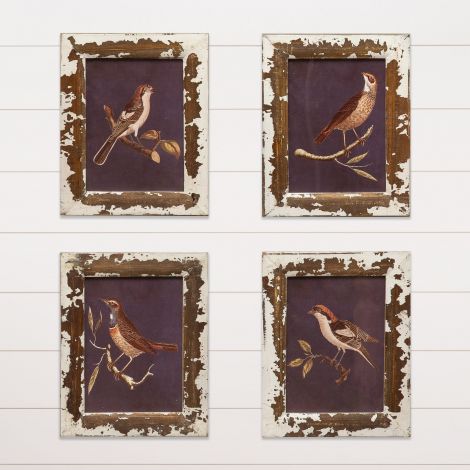 Framed Prints - Birds on Branches