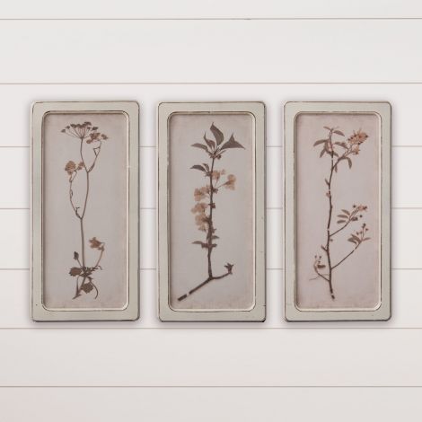 Framed Prints - Dried Flowers