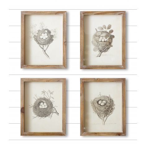 Framed Prints - Nests